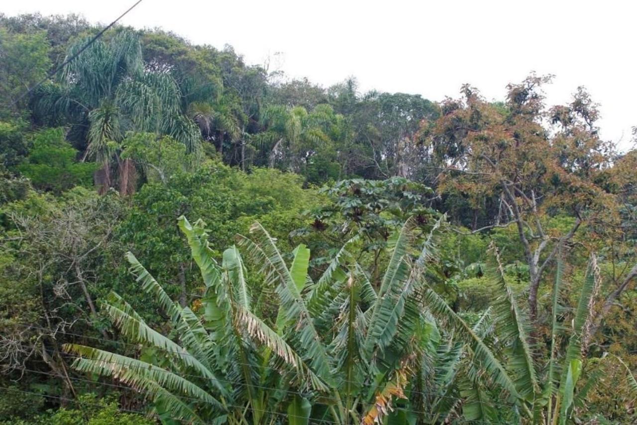 Apartamento Inteiro 3 Quartos No Condominio Solar Das Bromelias Bombinhas Dış mekan fotoğraf